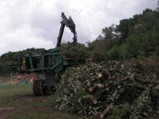 MAQUINARIA AGRICOLA (8)